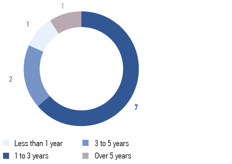 Period of service on the Board of Directors